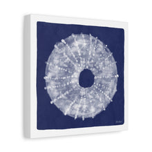 Load image into Gallery viewer, 3-Sea Urchin