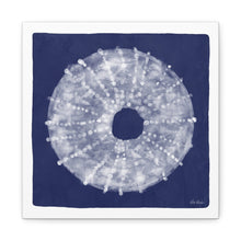 Load image into Gallery viewer, 3-Sea Urchin