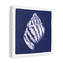 Load image into Gallery viewer, 16-Scotch Shell