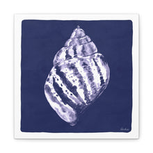 Load image into Gallery viewer, 16-Scotch Shell