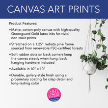 Load image into Gallery viewer, 7-Crab