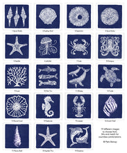 Load image into Gallery viewer, 7-Crab