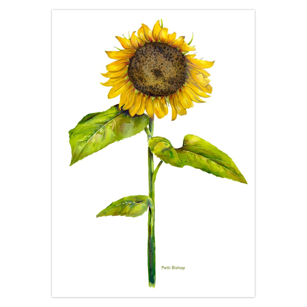 Sunflower Greeting Cards