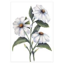 Load image into Gallery viewer, White Daisies Greeting Card
