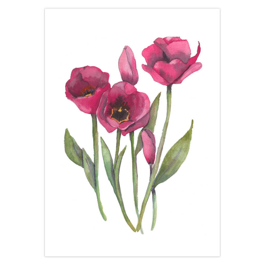 Pink Tulips Greeting Cards