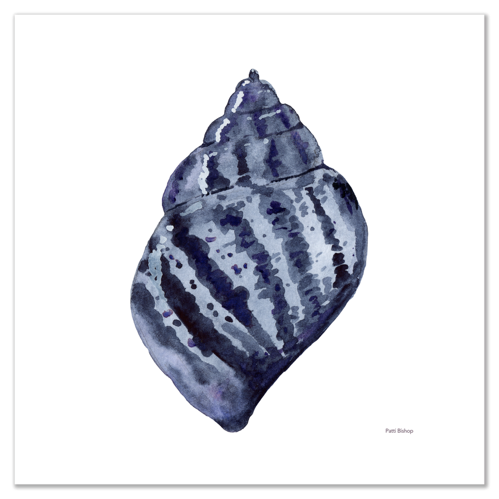 Blue Shell Scotch Bonnet Art Print