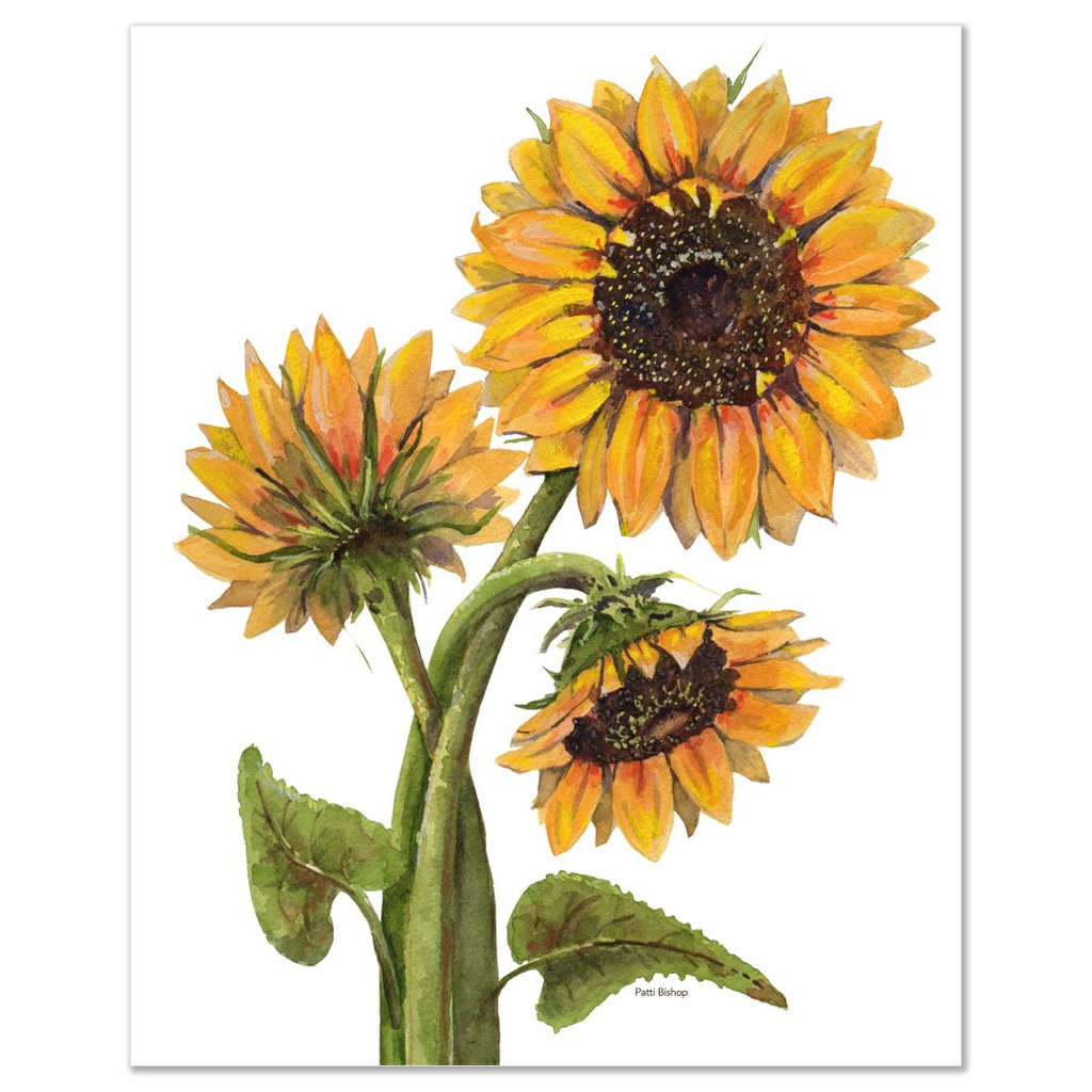 Sunflowers Three Art Prints