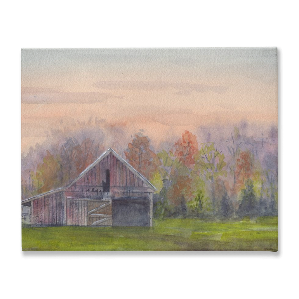 Old Barn in a Green Field Stretched Canvas Print