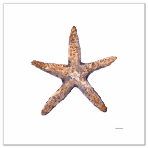 Single Starfish Art Print - Patti Bishop Watercolors