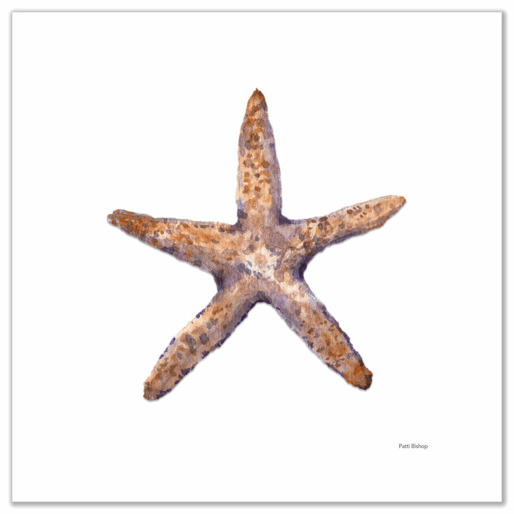 Single Starfish Art Print - Patti Bishop Watercolors