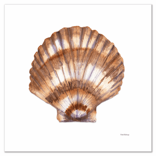 Single Scallop Shell Art Print - Patti Bishop Watercolors