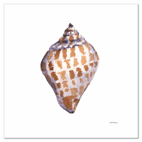 Single Scotch Bonnet Shell Art Print - Patti Bishop Watercolors