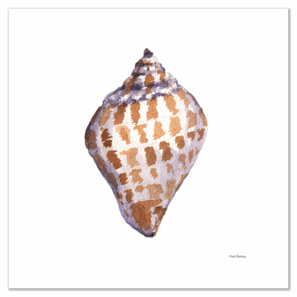 Single Scotch Bonnet Shell Art Print - Patti Bishop Watercolors
