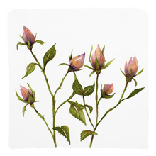 Load image into Gallery viewer, Rose Buds Throw Pillows
