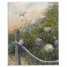 Load image into Gallery viewer, Queen Anne&#39;s Lace Stretched Canvas Print - Patti Bishop Watercolors

