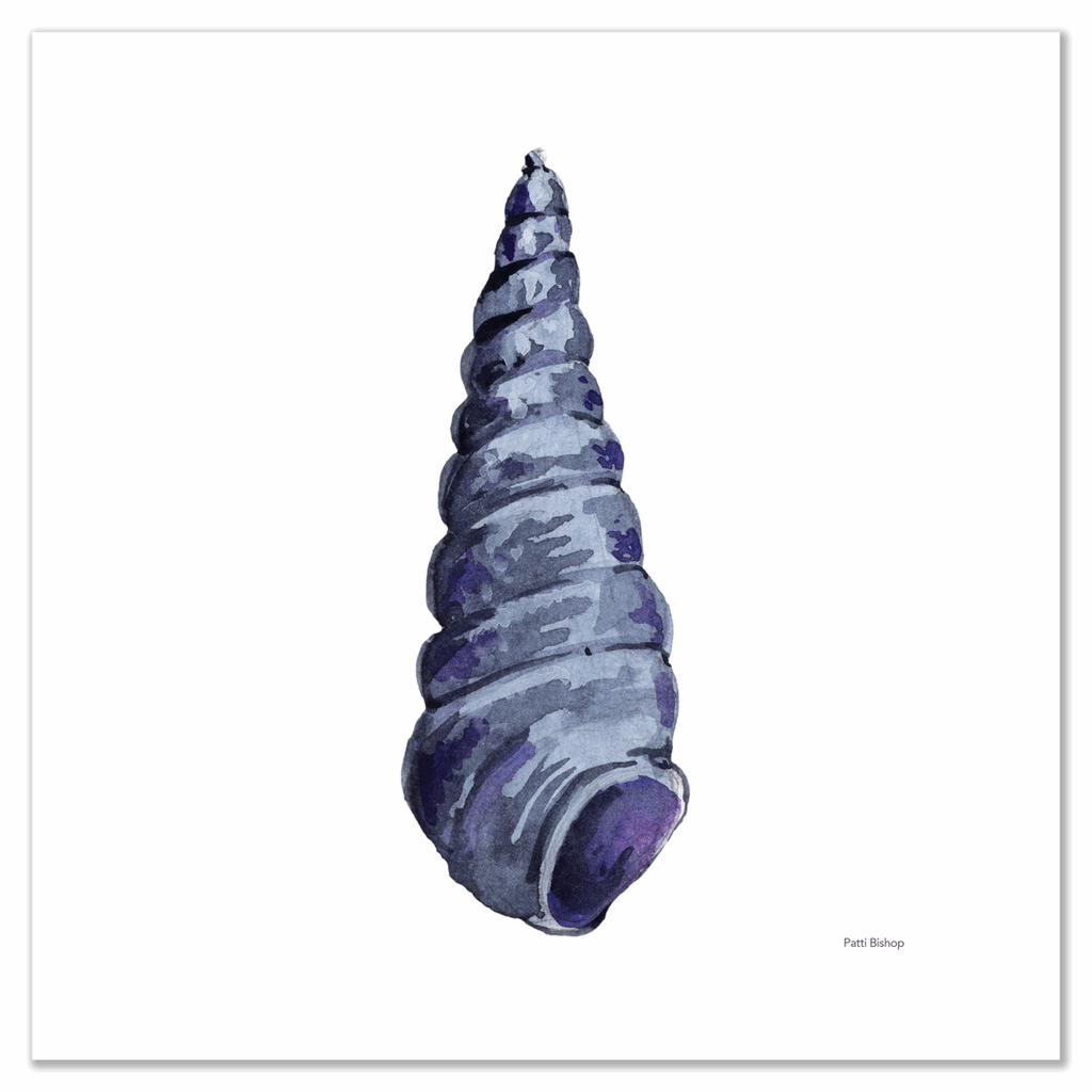 Blue Flame Auger Shell Art Print - Patti Bishop Watercolors