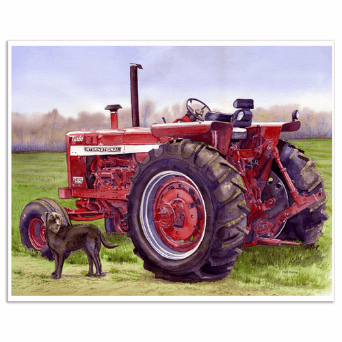 International Art Prints - Patti Bishop Watercolors
