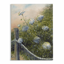 Load image into Gallery viewer, Queen Anne&#39;s Lace Stretched Canvas Print - Patti Bishop Watercolors
