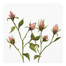Load image into Gallery viewer, Rose Buds Throw Pillows
