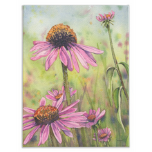 Load image into Gallery viewer, Trio Coneflowers Stretch Canvas Print
