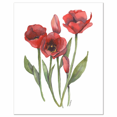 Red Tulips 1 Art Prints - Patti Bishop Watercolors