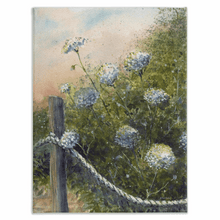 Load image into Gallery viewer, Queen Anne&#39;s Lace Stretched Canvas Print - Patti Bishop Watercolors
