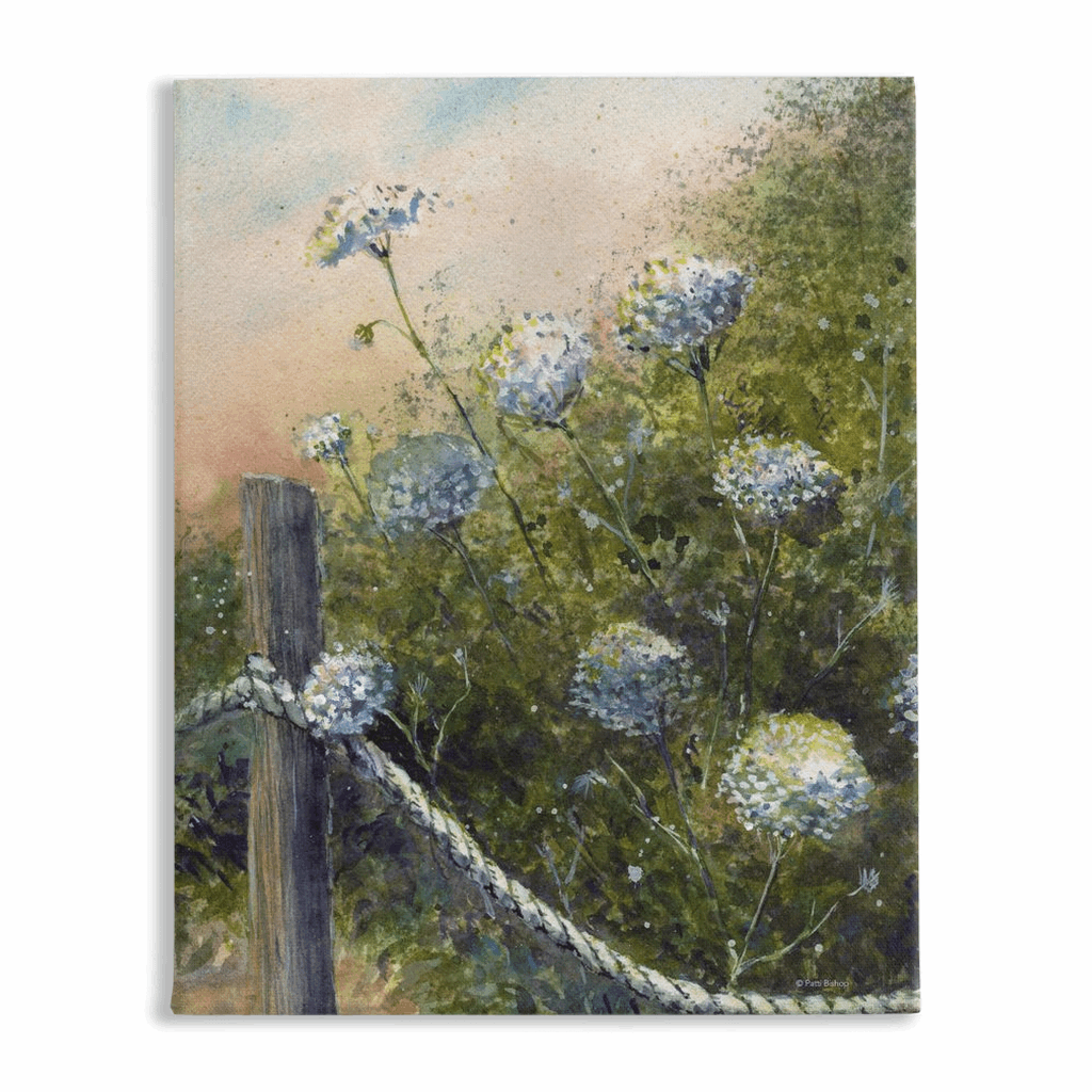 Queen Anne's Lace Stretched Canvas Print - Patti Bishop Watercolors