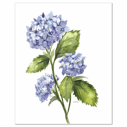 Hydrangea 2 Left Art Prints - Patti Bishop Watercolors