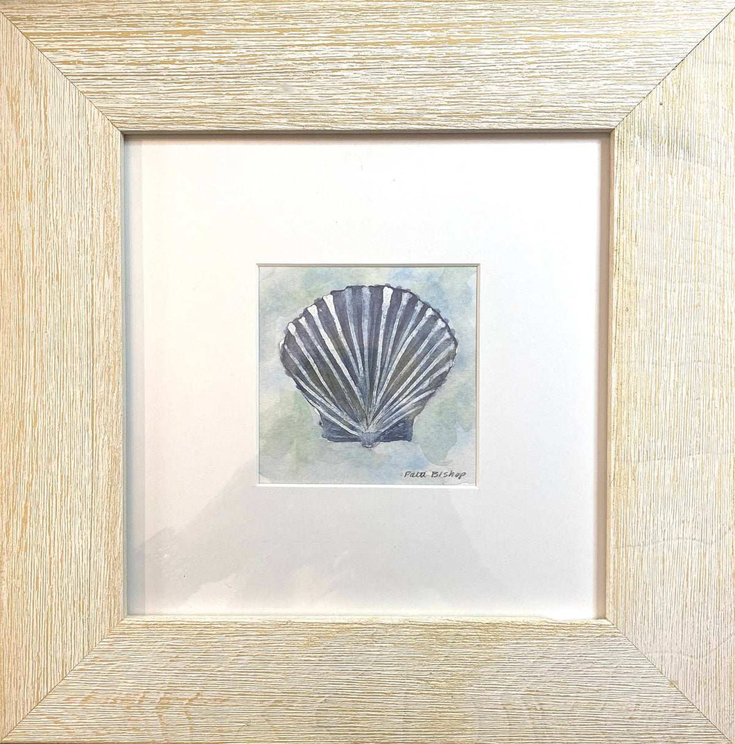 Blue Shell 3 Original Watercolor - Patti Bishop Watercolors
