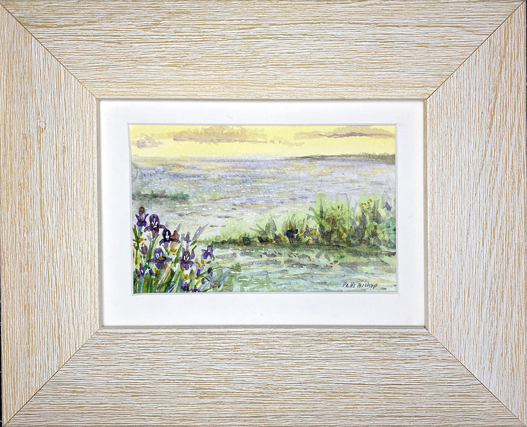 Landscape Iris Near the Water Original Watercolor