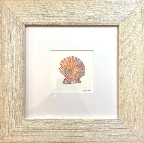 Orange Shell 1 Original Watercolor - Patti Bishop Watercolors