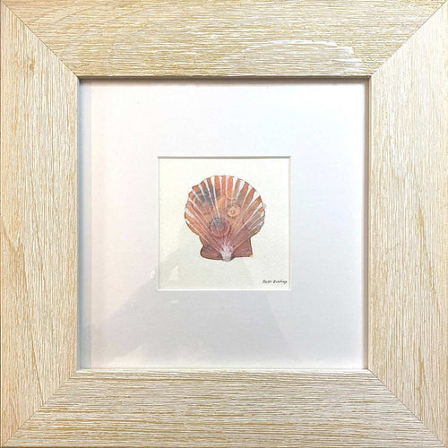 Orange Shell 2 Original Watercolor - Patti Bishop Watercolors