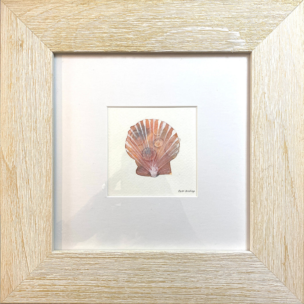 Orange Shell 2 Original Watercolor