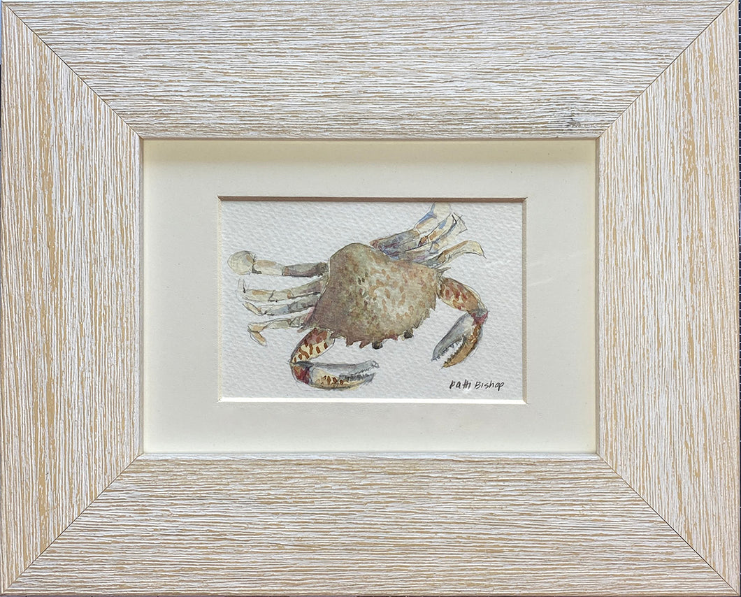 Tan Crab Original Watercolor