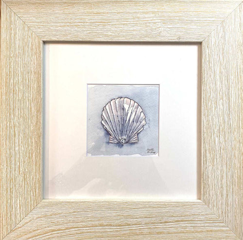 White Shell Original Watercolor - Patti Bishop Watercolors