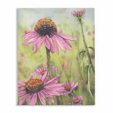 Load image into Gallery viewer, Trio Coneflowers Stretch Canvas Print - Patti Bishop Watercolors
