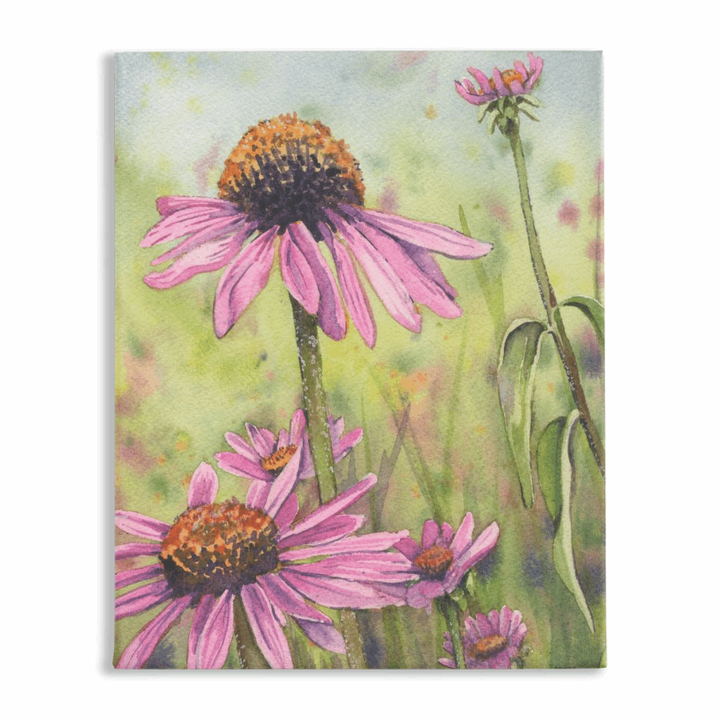 Trio Coneflowers Stretch Canvas Print - Patti Bishop Watercolors