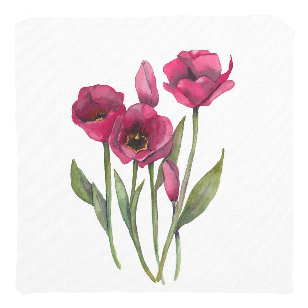 Pink Tulips Throw Pillows