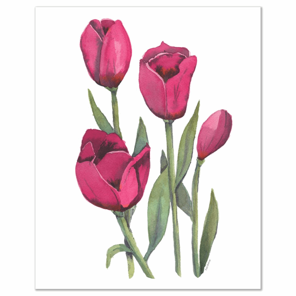 Pink Tulips 3 Art Prints - Patti Bishop Watercolors