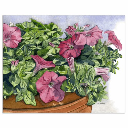 Room To Grow Art Prints - Patti Bishop Watercolors