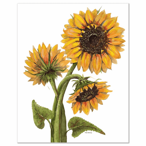 Sunflowers Three Art Prints - Patti Bishop Watercolors