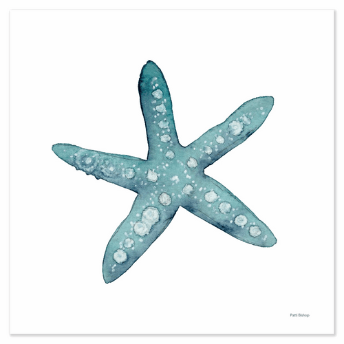Teal Starfish Art Print - Patti Bishop Watercolors
