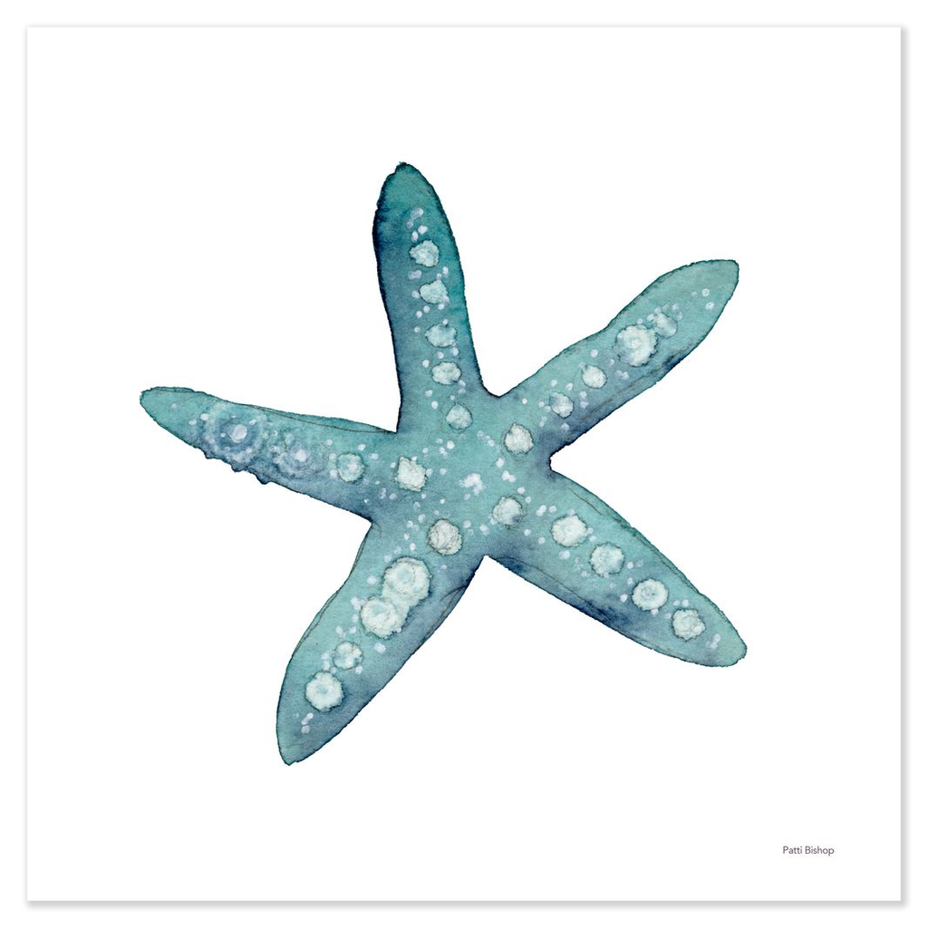 Teal Starfish Art Print