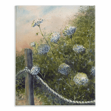 Load image into Gallery viewer, Queen Anne&#39;s Lace Stretched Canvas Print - Patti Bishop Watercolors
