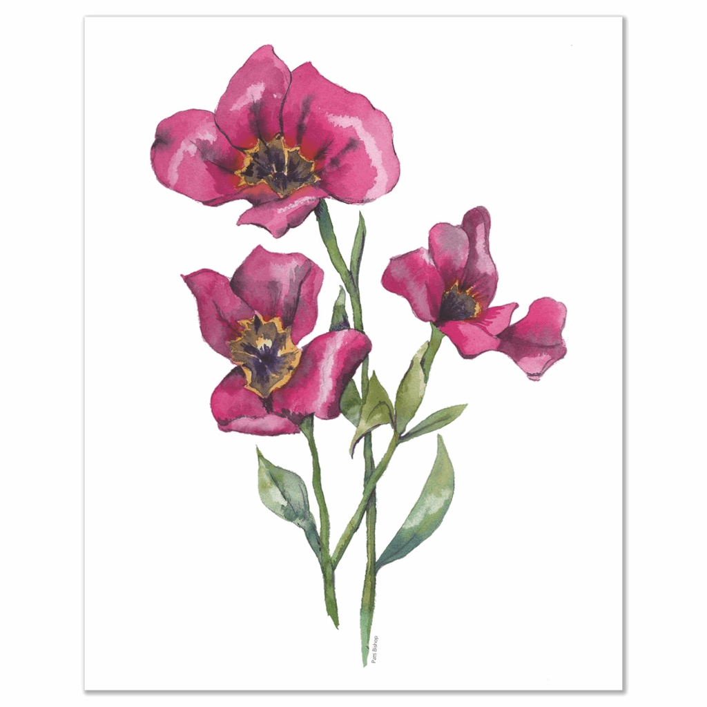 Pink Tulips 2 Art Prints - Patti Bishop Watercolors