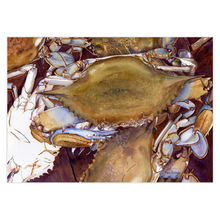 Load image into Gallery viewer, Delaware Crabs Greeting Cards
