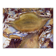Load image into Gallery viewer, Delaware Crabs Stretched Canvas Print
