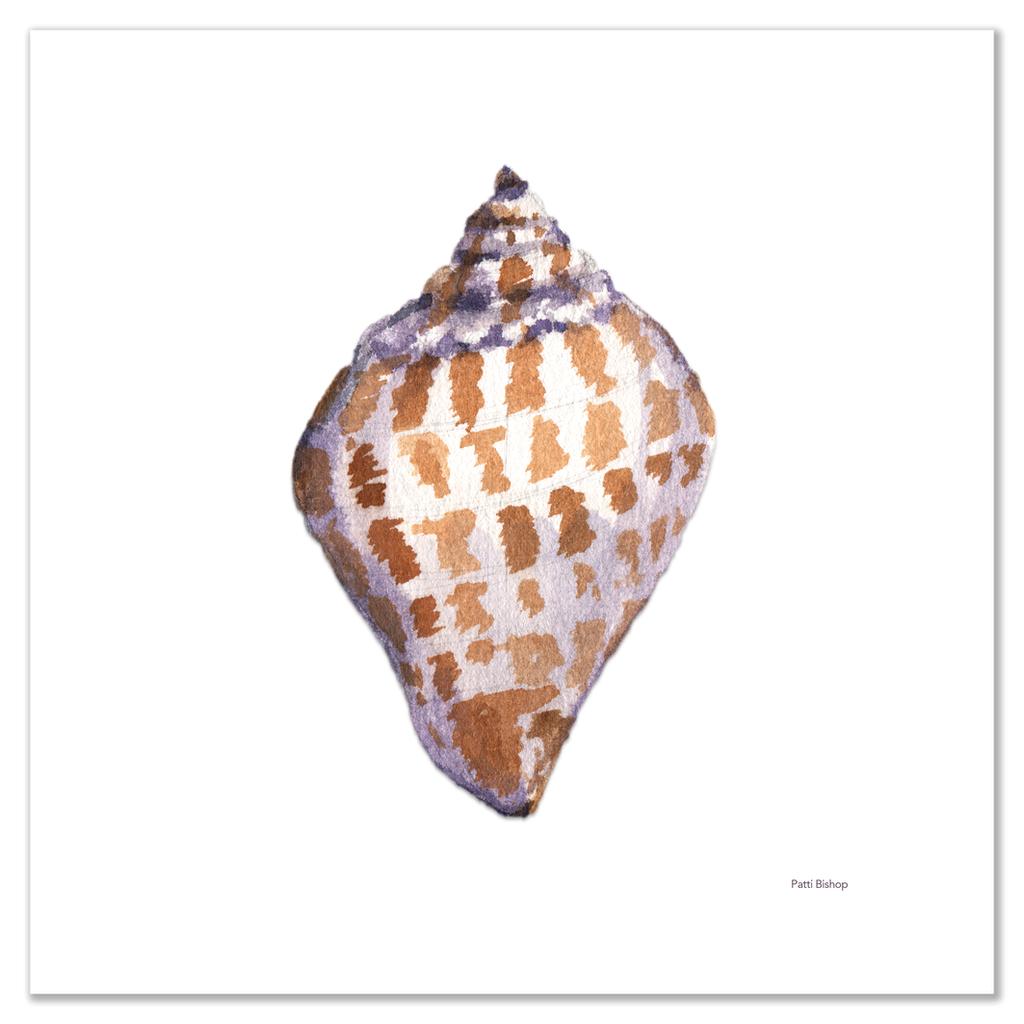 Single Scotch Bonnet Shell Art Print