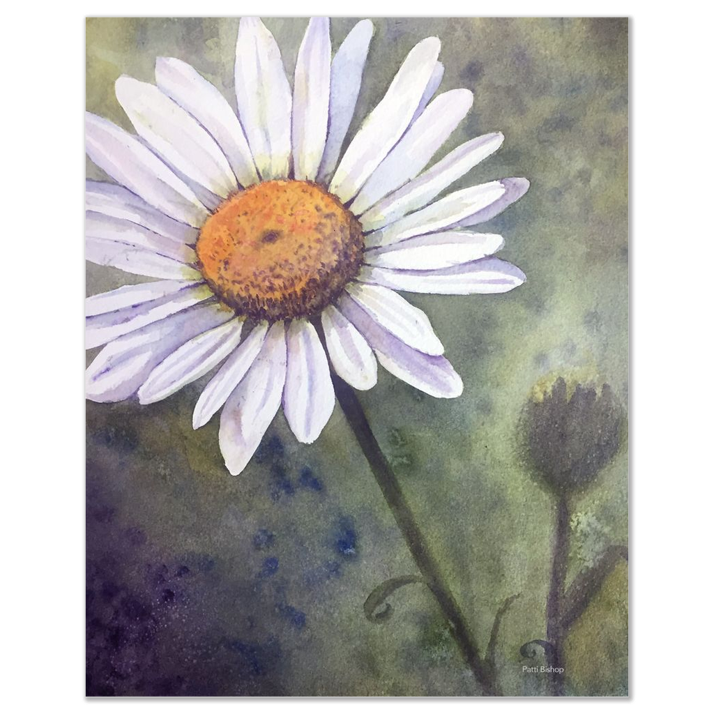 Daisy Bud Art Prints