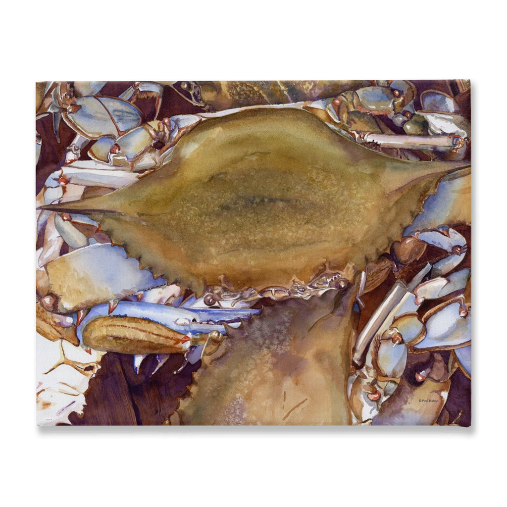 Delaware Crabs Stretched Canvas Print